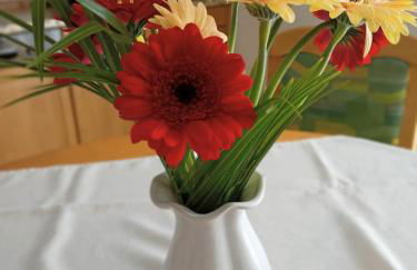 Haus Seerobbe-Erdgeschosswohnung - Foto 8