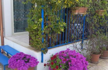 Noto Sole di Sicilia - Foto 9