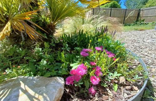 Apb Spa locations avec jacuzzi privatif - Foto 39