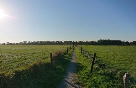 Habbo's Kojen - Photo 20