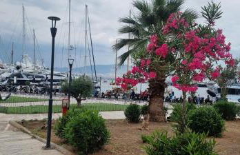 The island studio - Foto 4