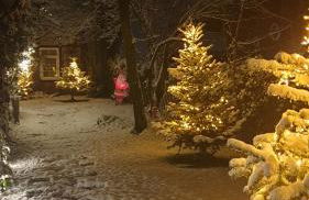 Moderner Fachwerktraum - Foto 11