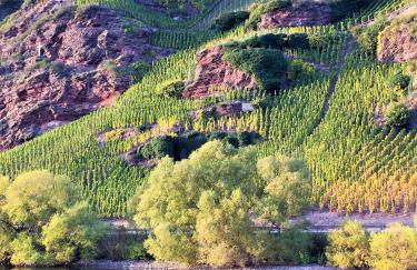 Fewo Spiaggia - Gästehaus Kön - Foto 23