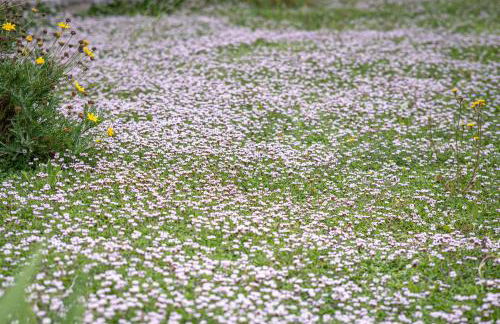 Case Vacanze Il Marchetto - Foto 67