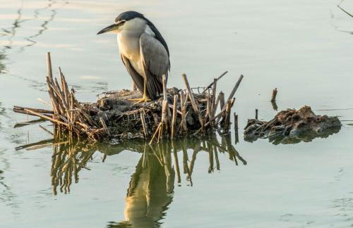 VILLA PROVIDENCIA - Foto 47
