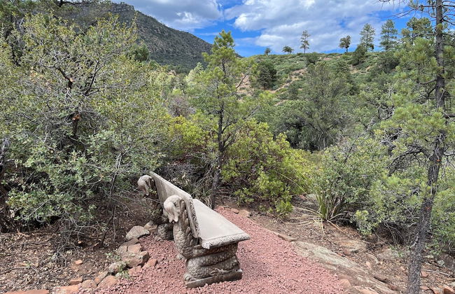 Sundial Circle Pine - Photo 39