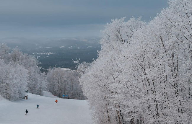 Chalet Refuge 114 in Lac-sup Rieur - Foto 7