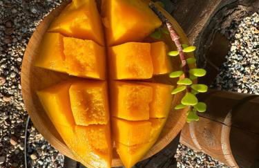 Krisant Gold Rural Luxury Privat Pool - Foto 47