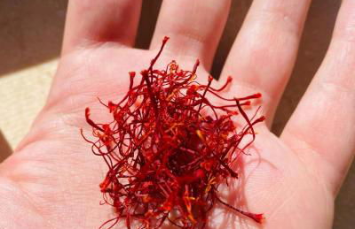 Agriturismo La Fattoria - Photo 29