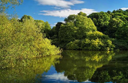 Selworthy - Luxury 3 Bedroom Apartment - Foto 53