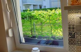 Green Terrace Big Family Apartment - Foto 5