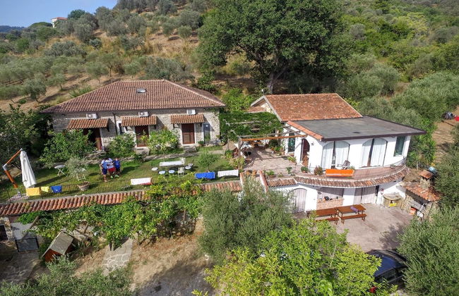 La Gabbianella e il Gatto - Foto 25