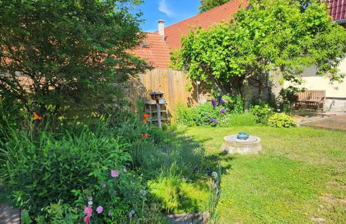 Ferienhaus Naturpur Chorin - Foto 45