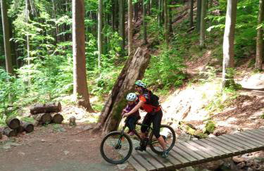 Dom Geologa - Foto 62