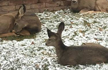 3bdmid-century Modernhot Tub, Grill, Close to DT - Foto 76
