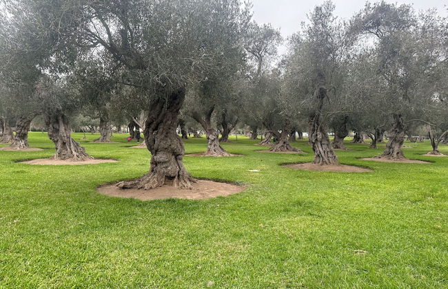 Olivar 1 Bedroom Apartment San Isidro - Foto 12