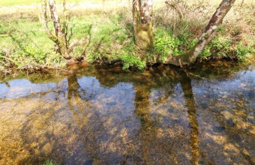 Swallows Nest - Photo 27