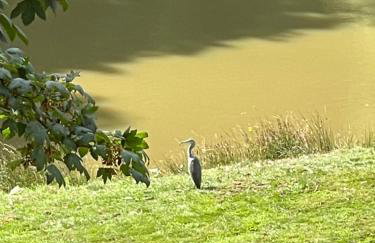 The View - Peaceful Duplex Apartment with Views, Parking & Wifi - Foto 30