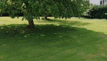 FEWO-ATLANTA Reinhardshausen - Foto 5, Garden view