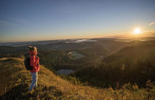 Schreinerhäusle nähe Titisee - Foto 11