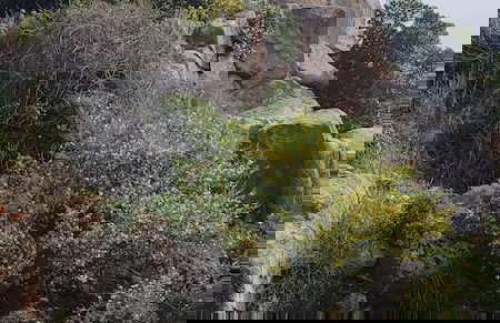 Il nuraghe - Foto 49