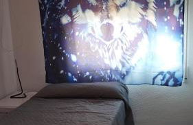 El buen sol de la manga - Foto 44