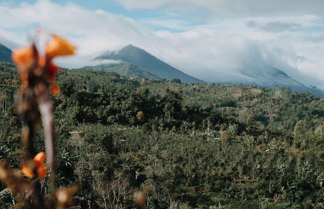 Alam Kita Glamping & Plantation - Foto 47