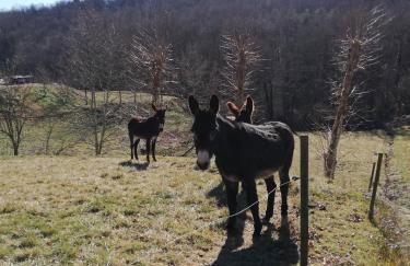 Casa Can Boix - Foto 92