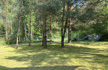 Chatka Jezioranka & bania - Foto 44