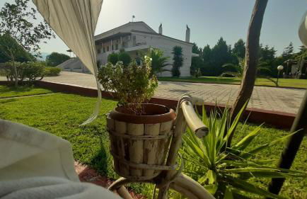 Ktima Xiliadou - Foto 15