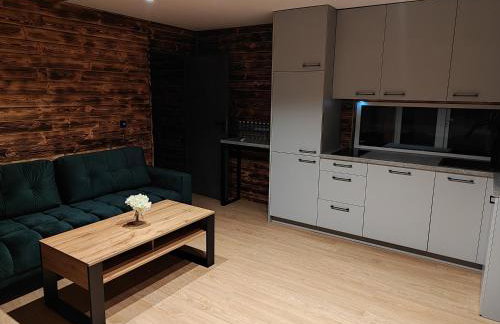 Apartament Glamour II Kleszczów - Foto 13