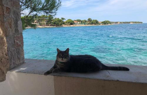 Villa Mimy - Foto 27