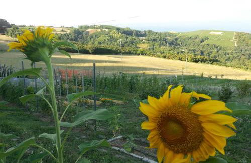 Apartment Stay Bel Piemonte - Foto 7