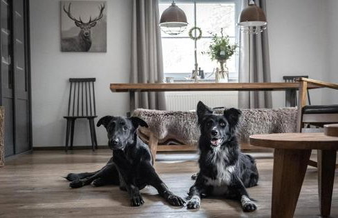 Ferienhaus Chalet an der Brettach - Foto 30