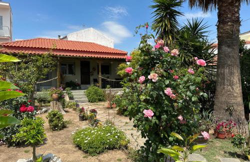 Λευκό γιασεμί - Νέες Παγασές Βόλος - Photo 15