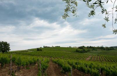 Apartments Villa Stapo - Foto 36