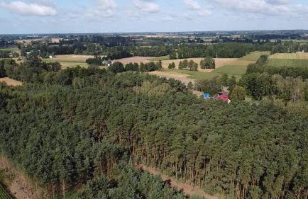 Maciejówka Gospodarstwo Agroturystyczne - Foto 33