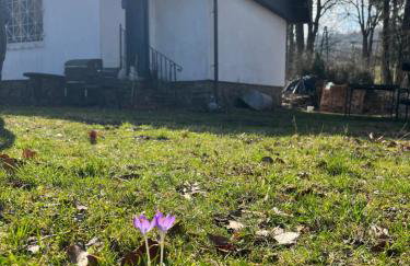 Zdzisiówka - Foto 12