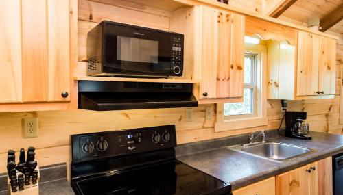 Cozy Cabin Close to Tryon and Lake Lure in Mill Spring, North Carolina - Foto 3