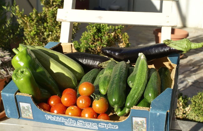 Holiday Home With Garden in Kritinia - Foto 18