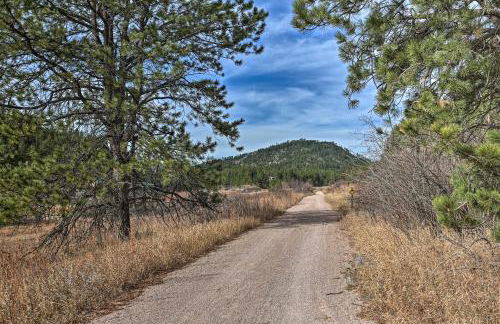 Scenic Hill City Cabin Hiking and ATV Trail Access - Foto 38
