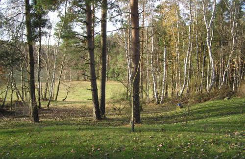 Senfmühle Lubast - Photo 11