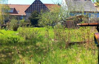 Apartment mit Herz im Harz - Foto 14