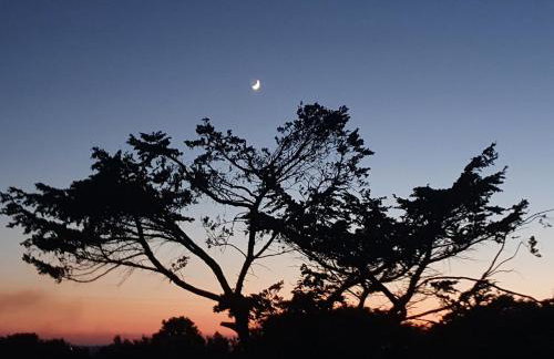Cornwall Luxury Hot Tub Huts - Foto 27