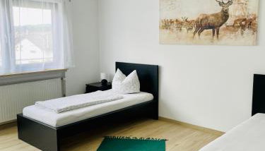 Panoramablick Ferien- und Monteurwohnung OG - Foto 1