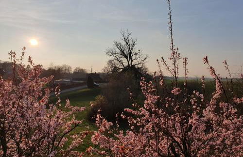 Elbe Ferien - Foto 29