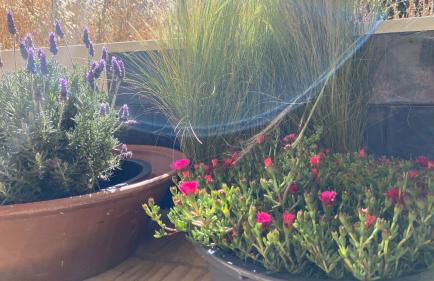 Malhada do Sao - Foto 56