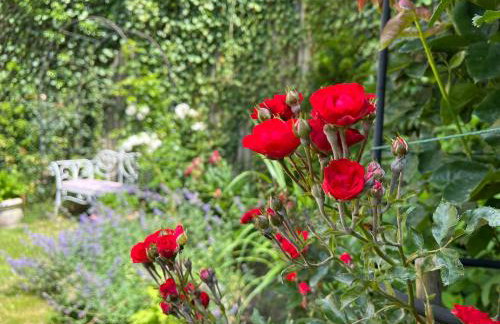 Rezydencja Grawert Boutique & Spa - Foto 10