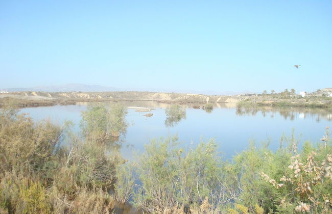 Charming Vacation Rental in Vera Spain Ideal Retreat for Families and Pet Lover - Foto 22