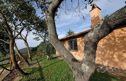 Podere Bagnoli - Foto 41